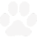 Paw icon for animation