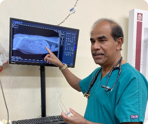 NORTHDALE ANIMAL HOSPITAL image