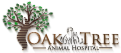 Oak Tree Animal Hospital logo