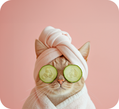 Cat wearing a doctor's overcoat and stethoscope